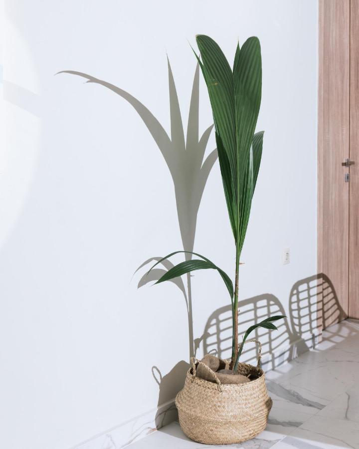 Arbona Apartment Ι Vori Bagian luar foto